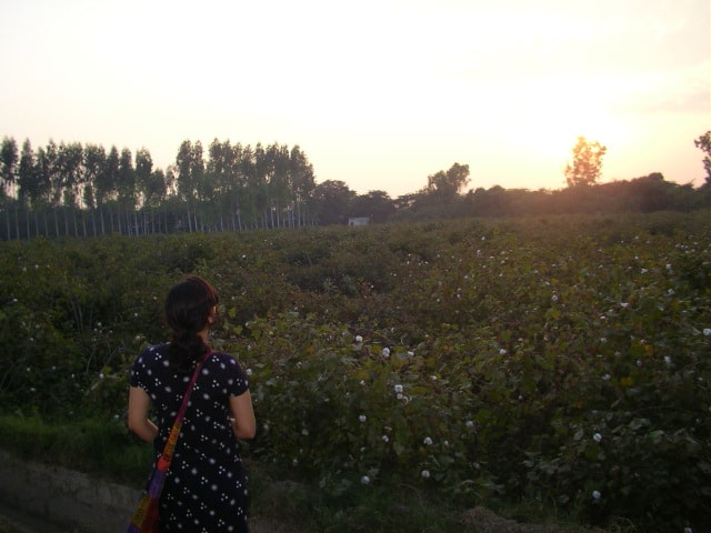 Punjab, countryside, sunrise, cotton farm, fruit farm, offbeat weekend travel