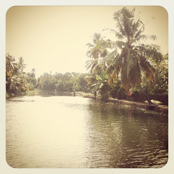 Afloat in Alleppey.
