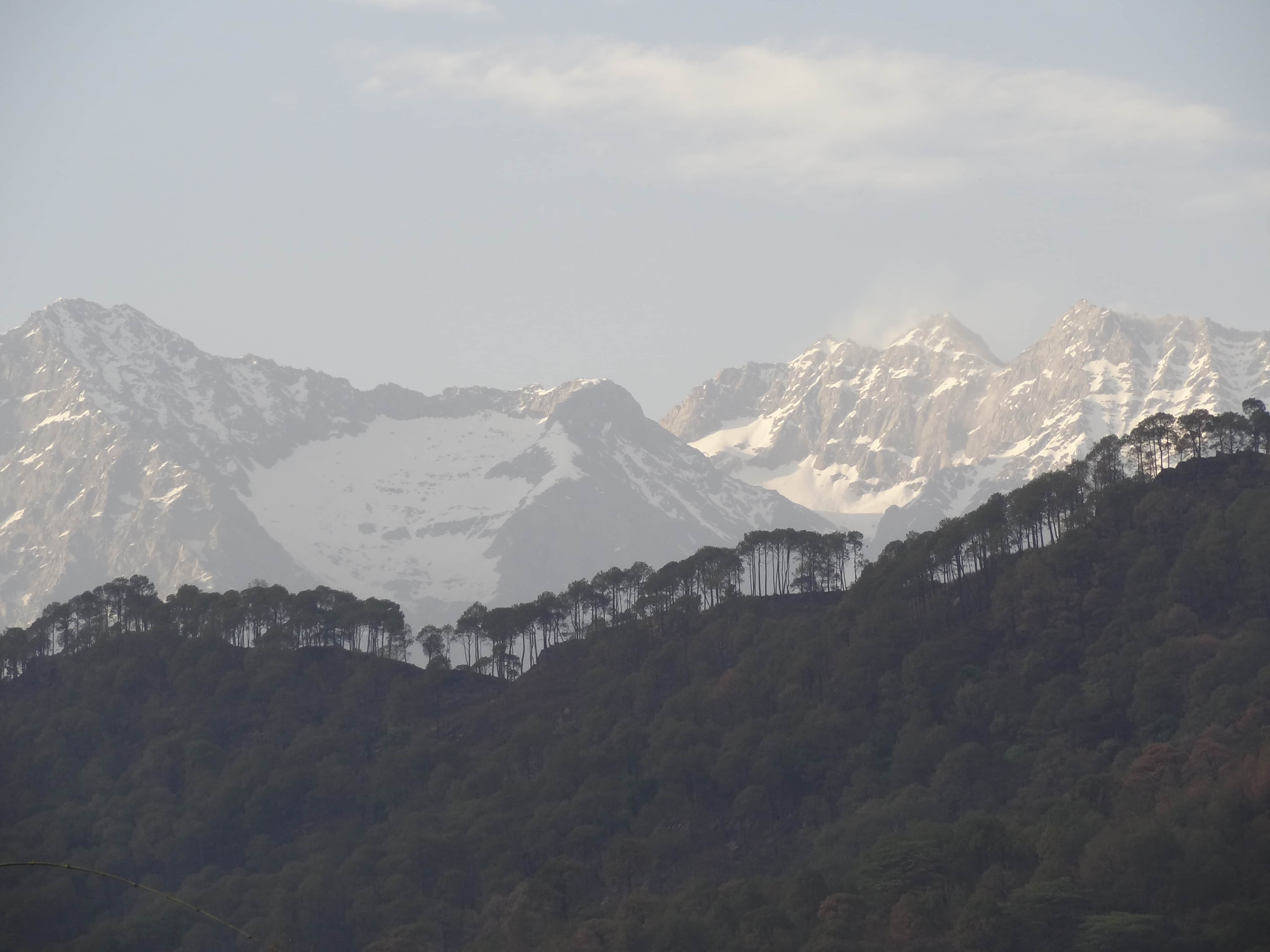 Himalayas, india countryside, ecotourism India, north India travel, Darang, Darang tea estate, Himachal Pradesh village
