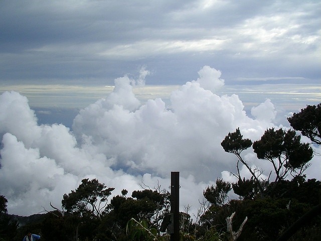 Mount Kinabalu: Turning 21 at The Peak.
