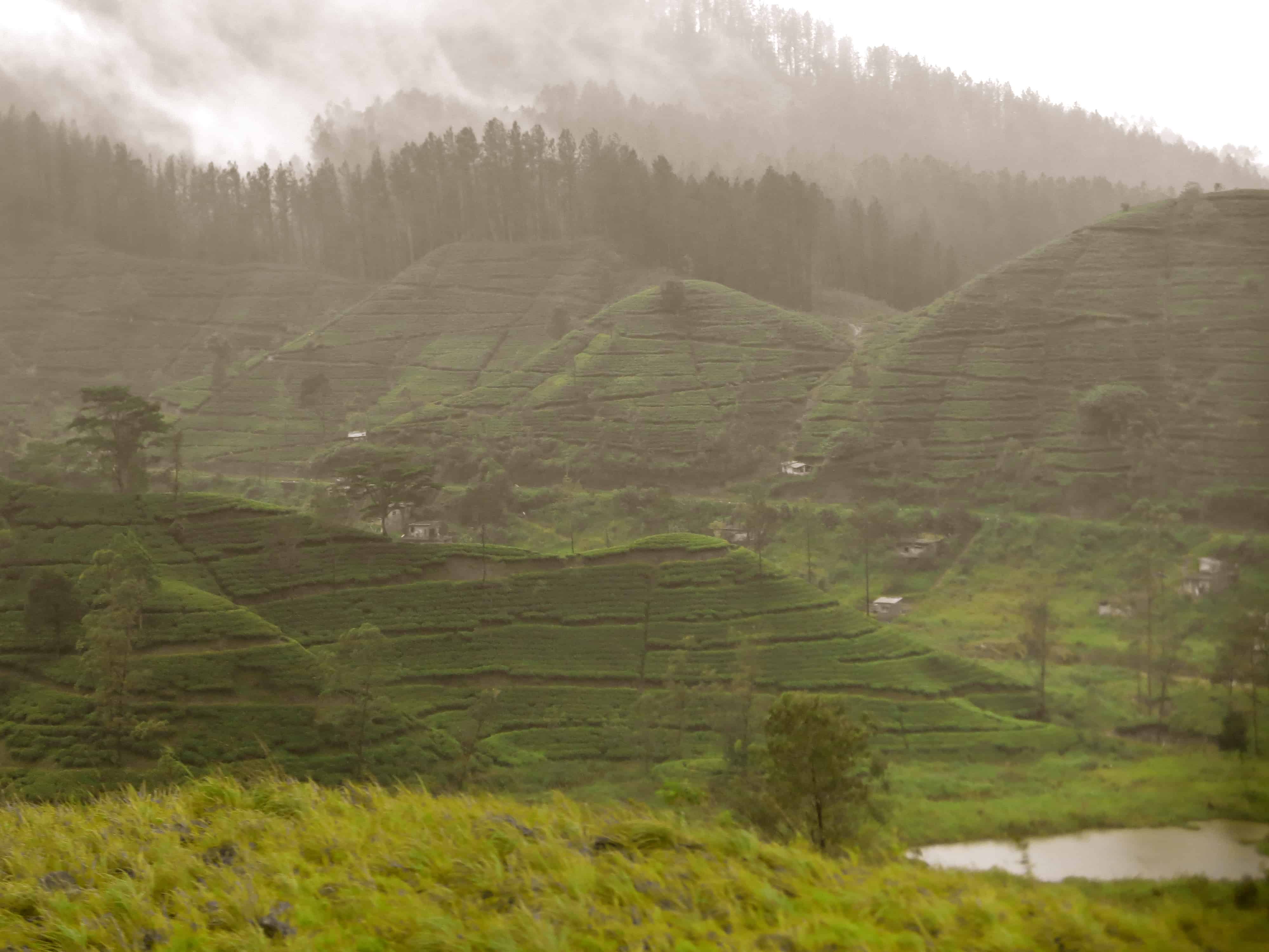 Sri Lanka tea plantations, Sri Lanka monsoon, Sri Lanka rains, train to Ella, Sri Lanka pictures