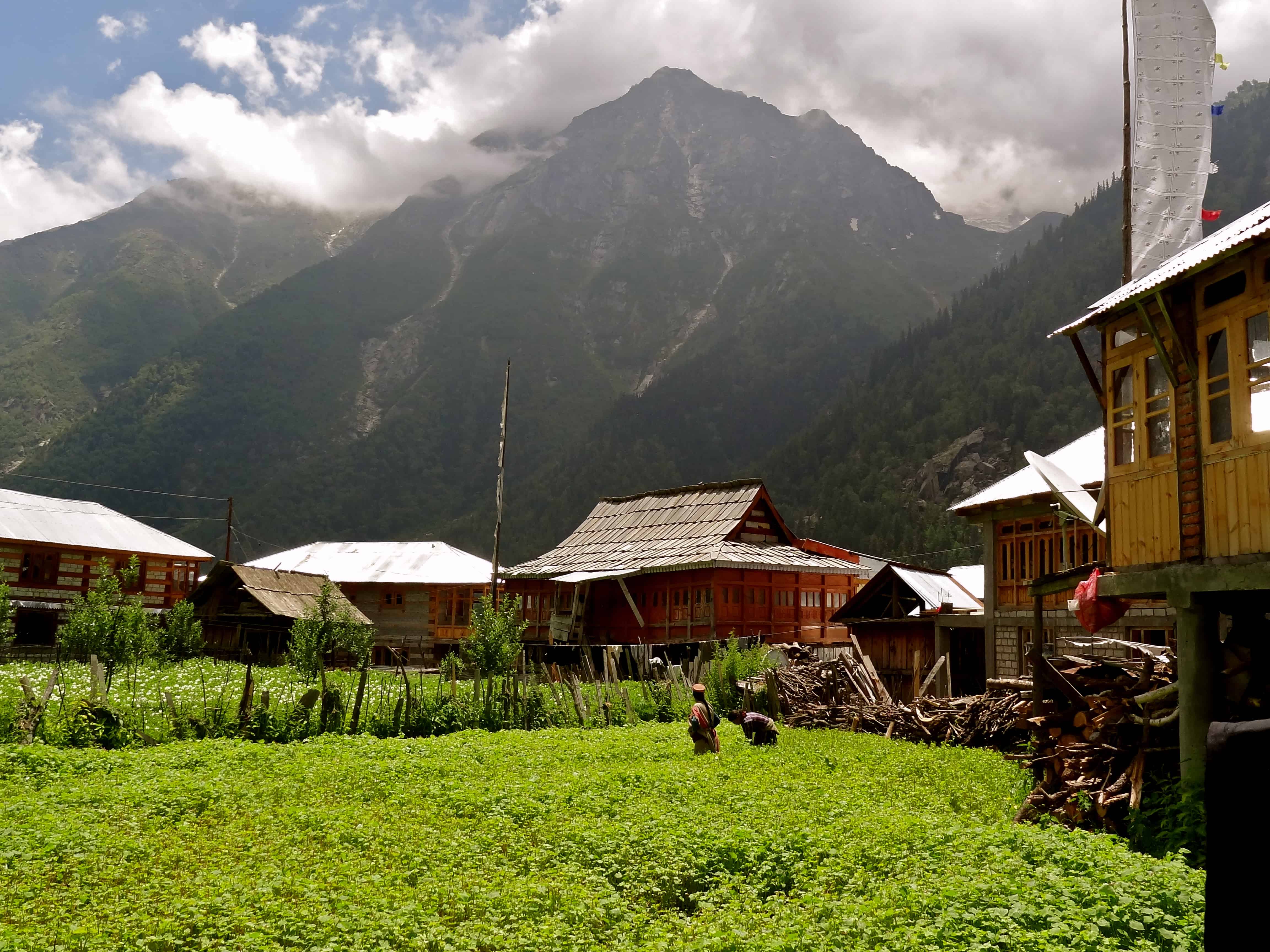 Rakcham, India Himalayas, Kinnaur