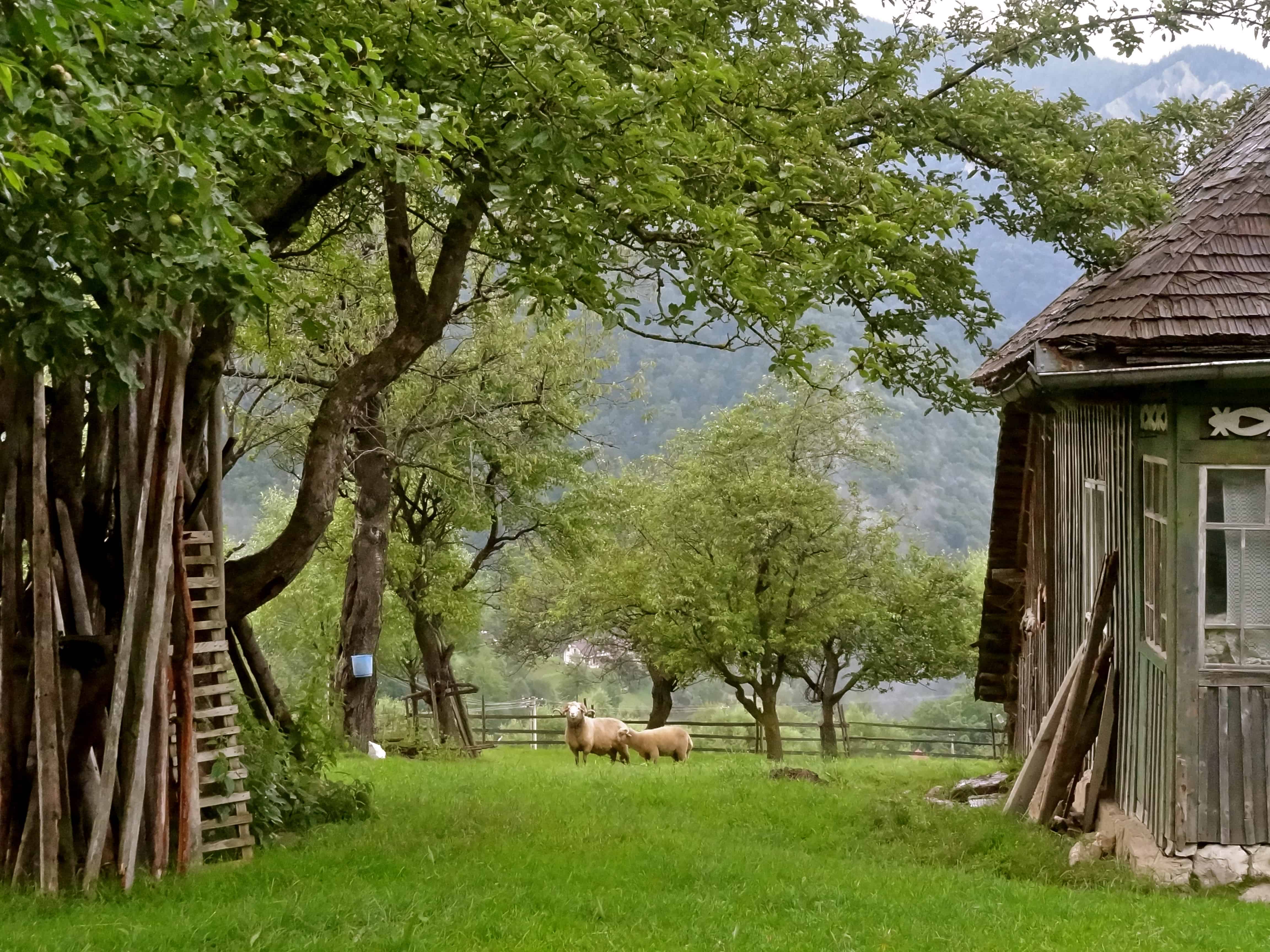 Romania countryside, Romania villages, Magura Romania
