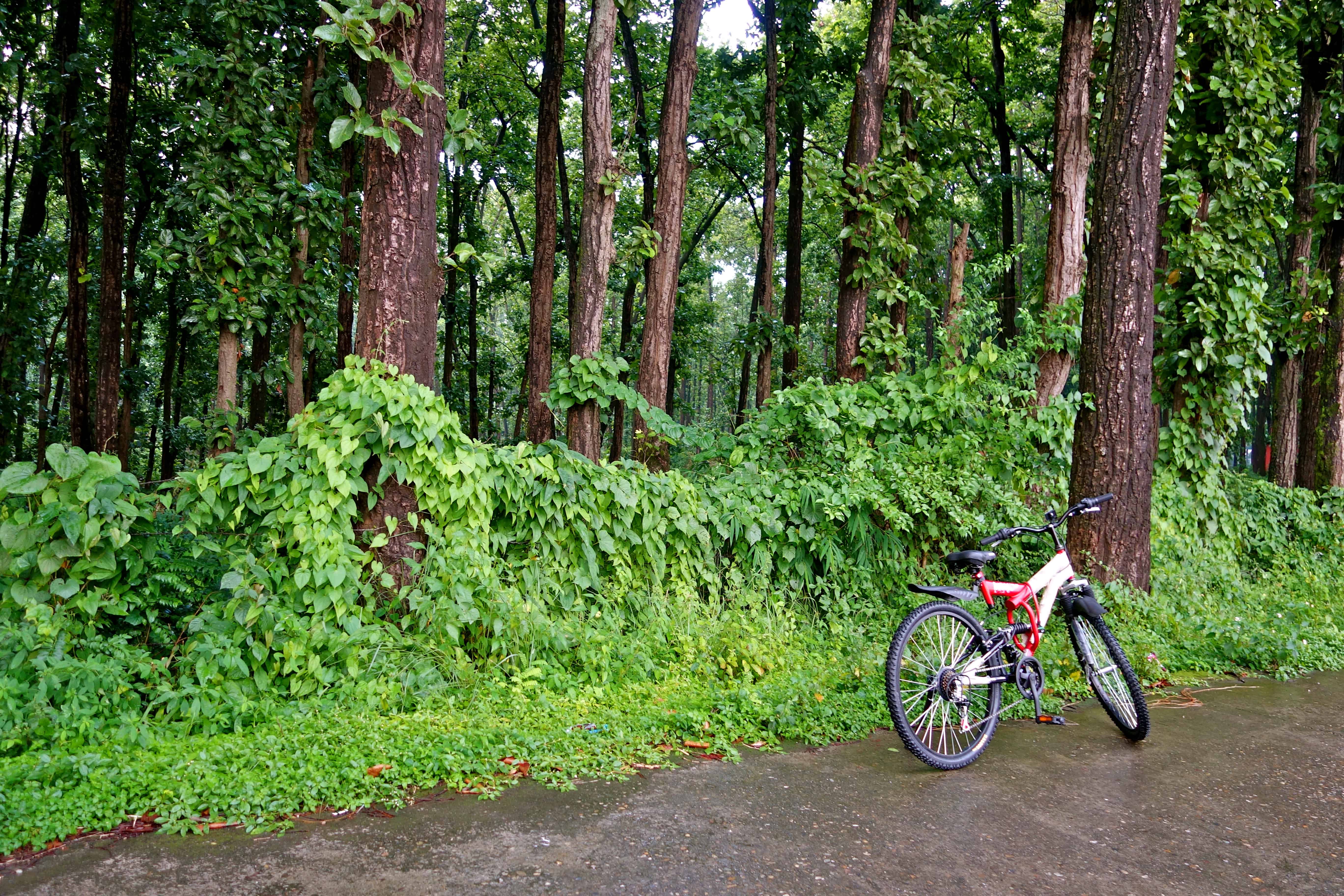 Dehradun cycling, Dehradun photos