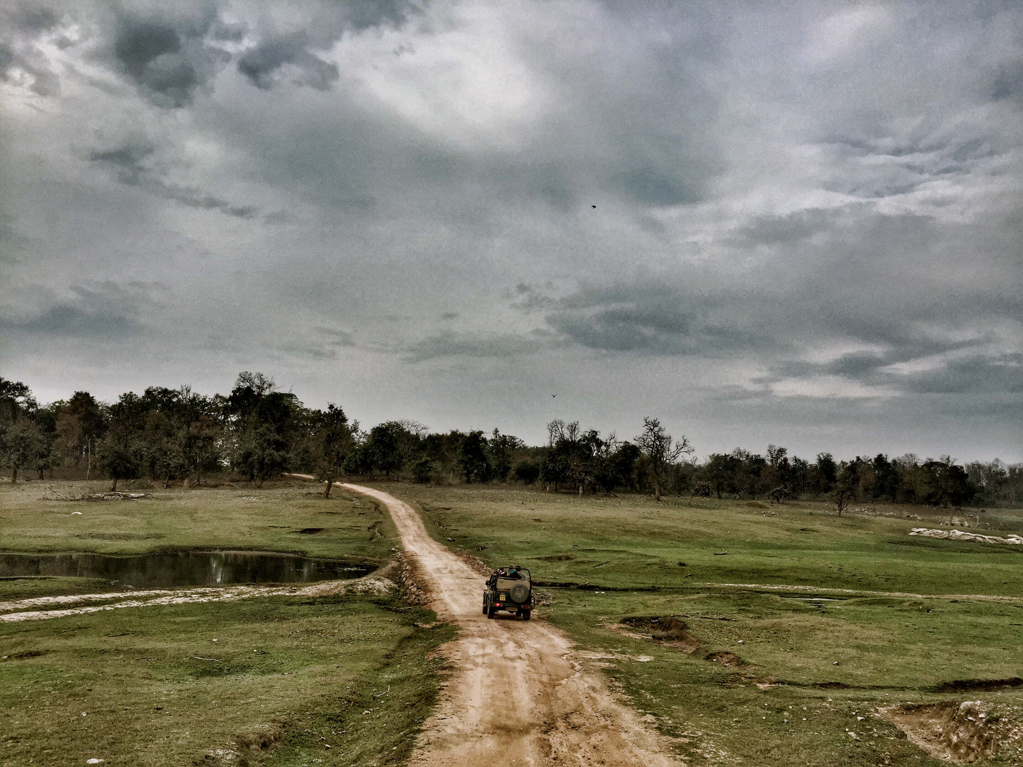 Pench national park, pench tiger reserve