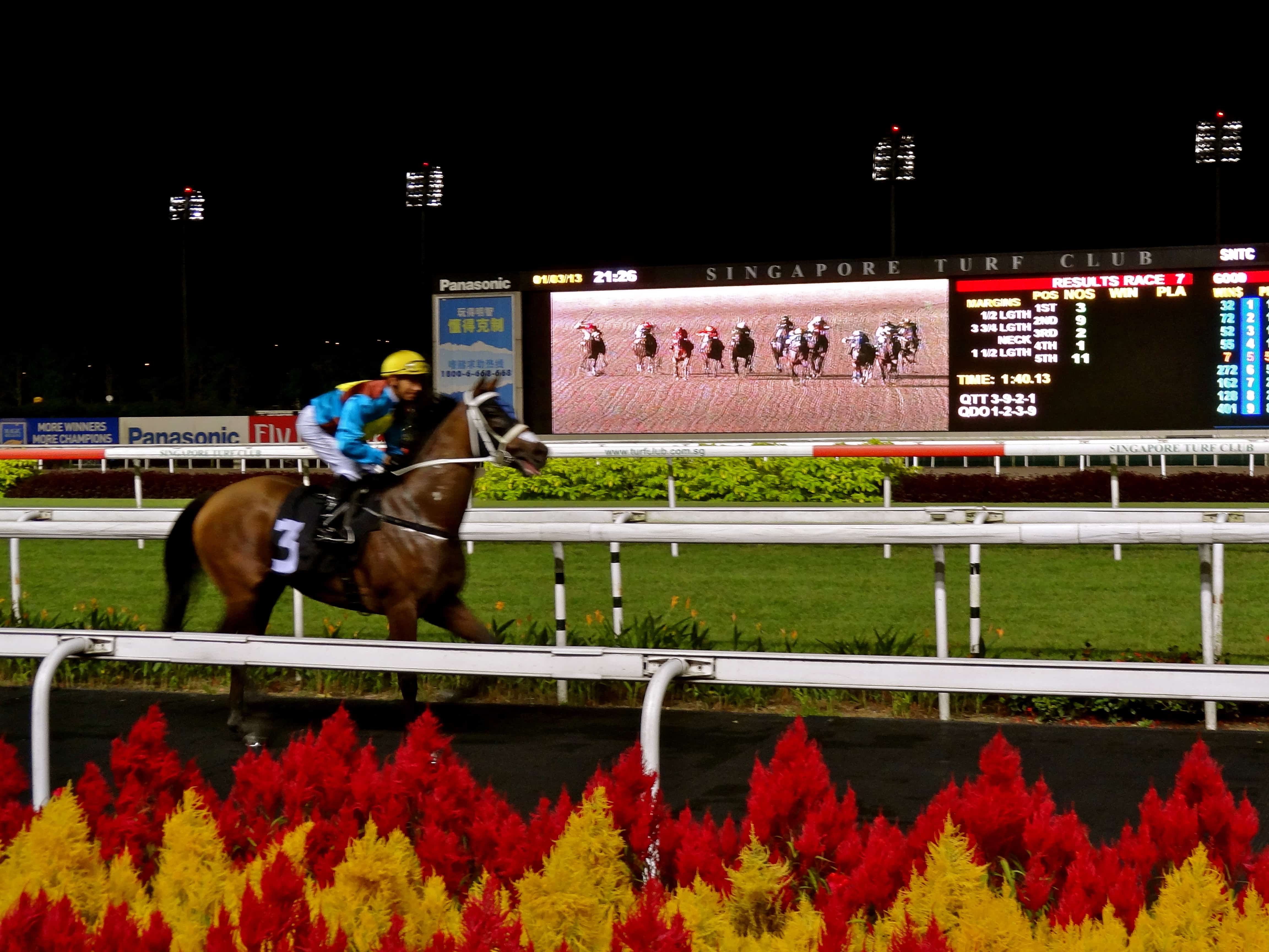 Singapore turf club, cool things to do in singapore