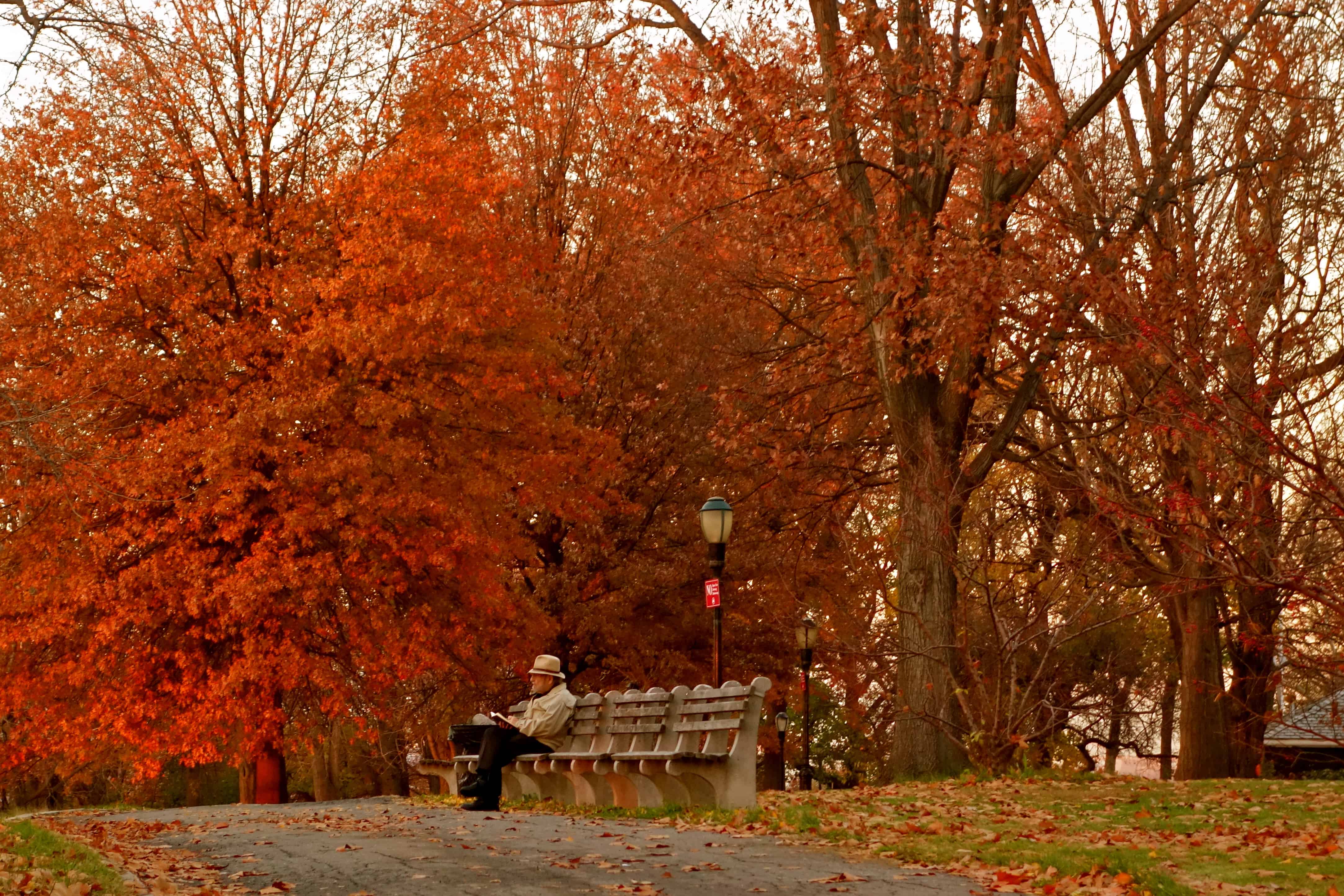 autumn blogs, autumn new york, autumn essay
