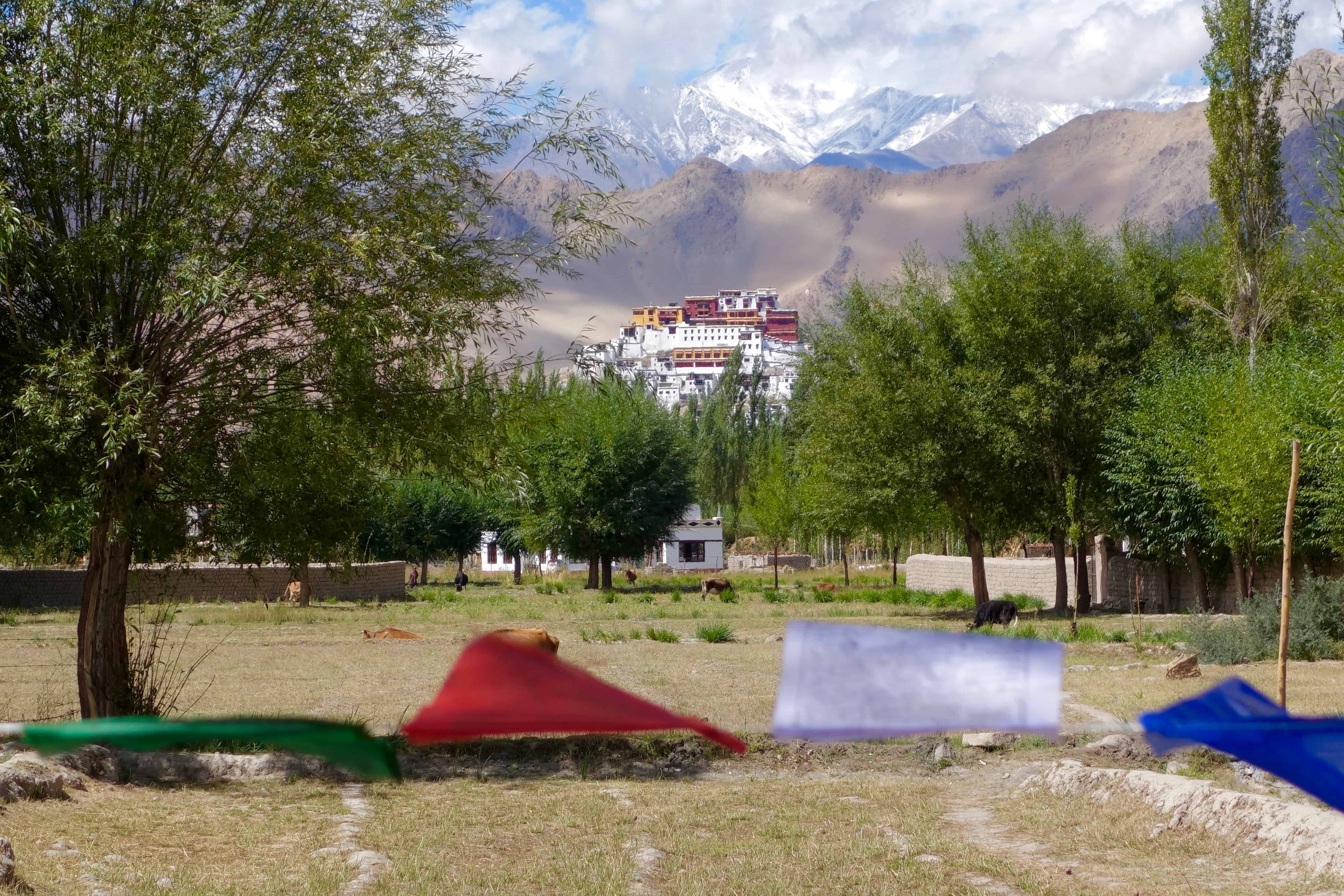 solo travel ladakh, ladakh travel stories, ladakh travel blogs