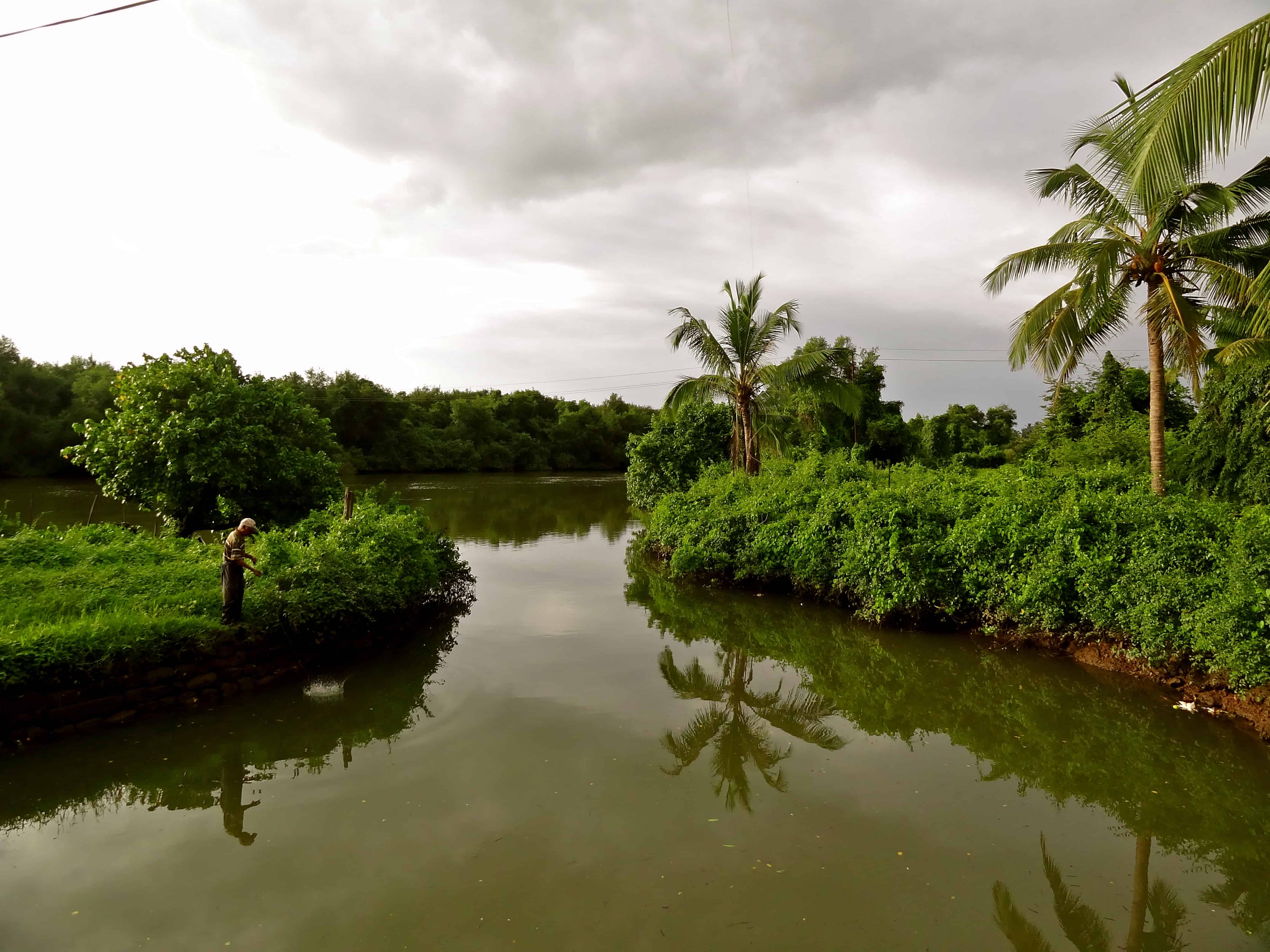 aldona, aldona backwaters