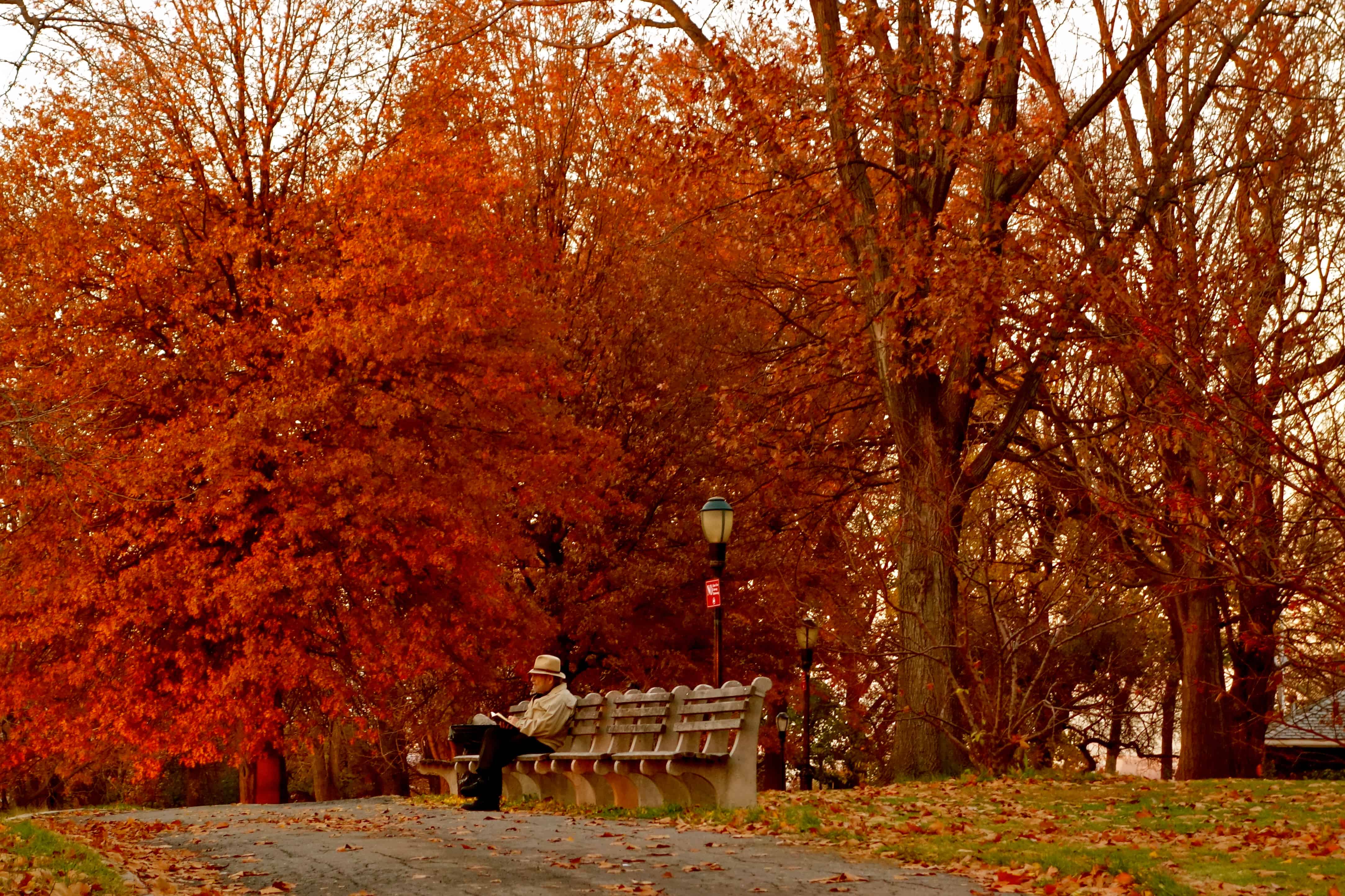 fall colors new york