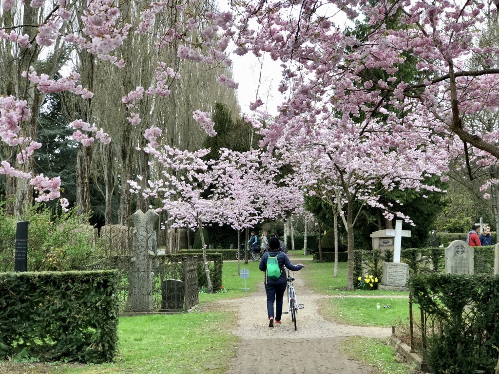 assistens cemetery, HC anderson, best things to do in copenhagen