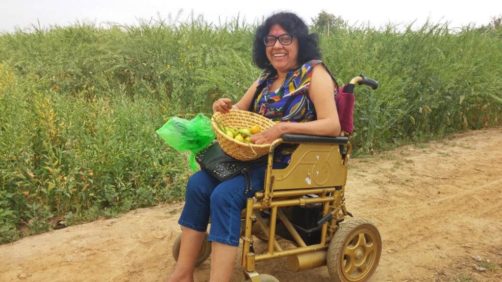 Parvinder chawla, wheelchair traveller, disabled traveller, disabled travel advice, woman travelling alone in India
