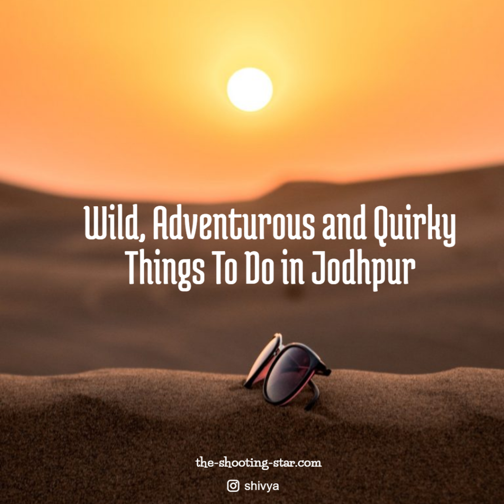 things to do in jodhpur, top 10 things to do in jodhpur, jodhpur travel blog 