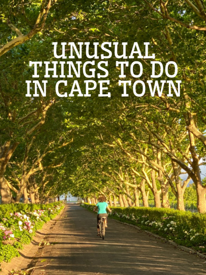 crazy things to do in cape town