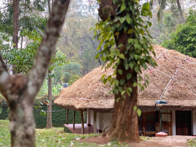 Can Luxury Travel be Sustainable? What I Learnt Staying at Spice Village, Thekkady.
