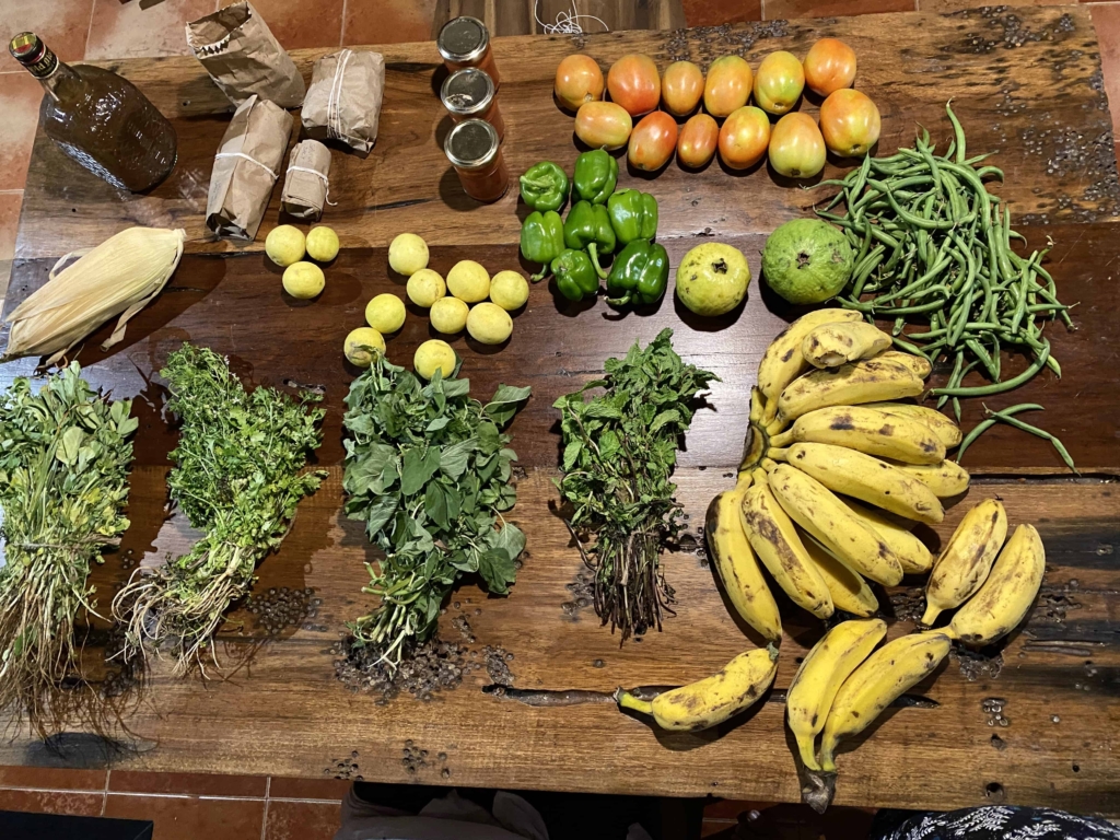 organic vegetables and fruits in goa