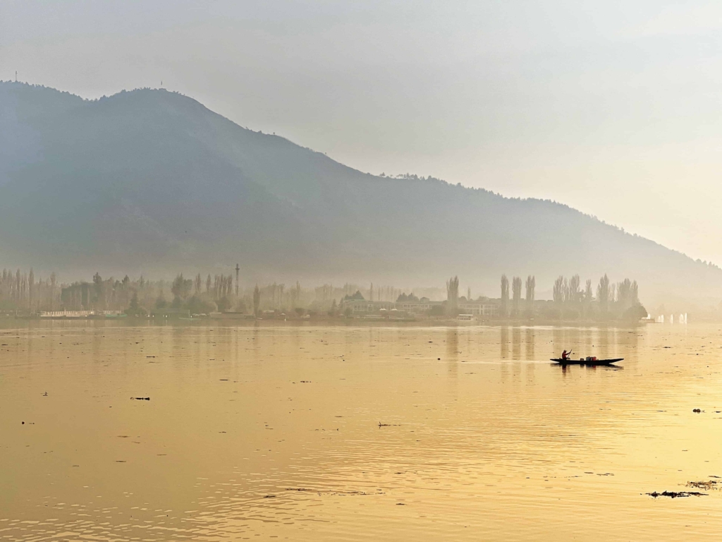 a scenic photo of a shikara in dal lake kashmir