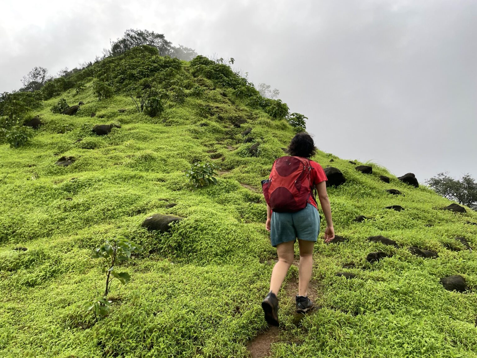 Eco-Friendly Monsoon Travel