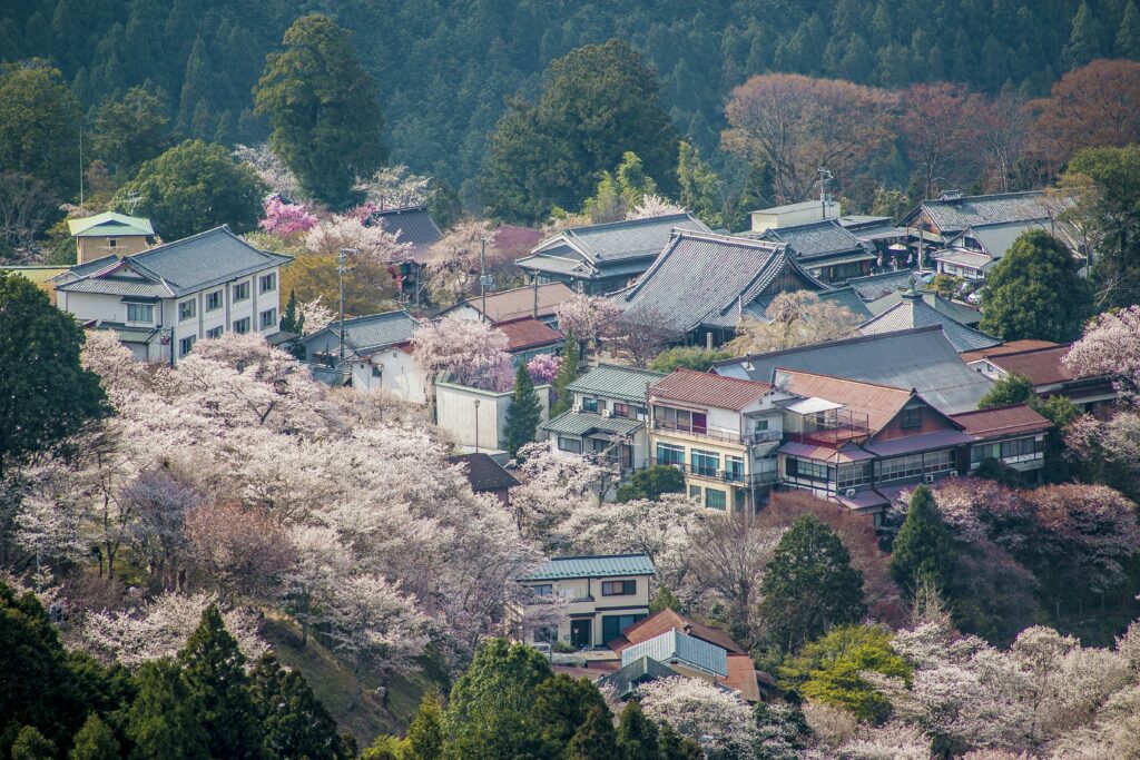 Nara japan