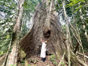 amazon peru shaman
