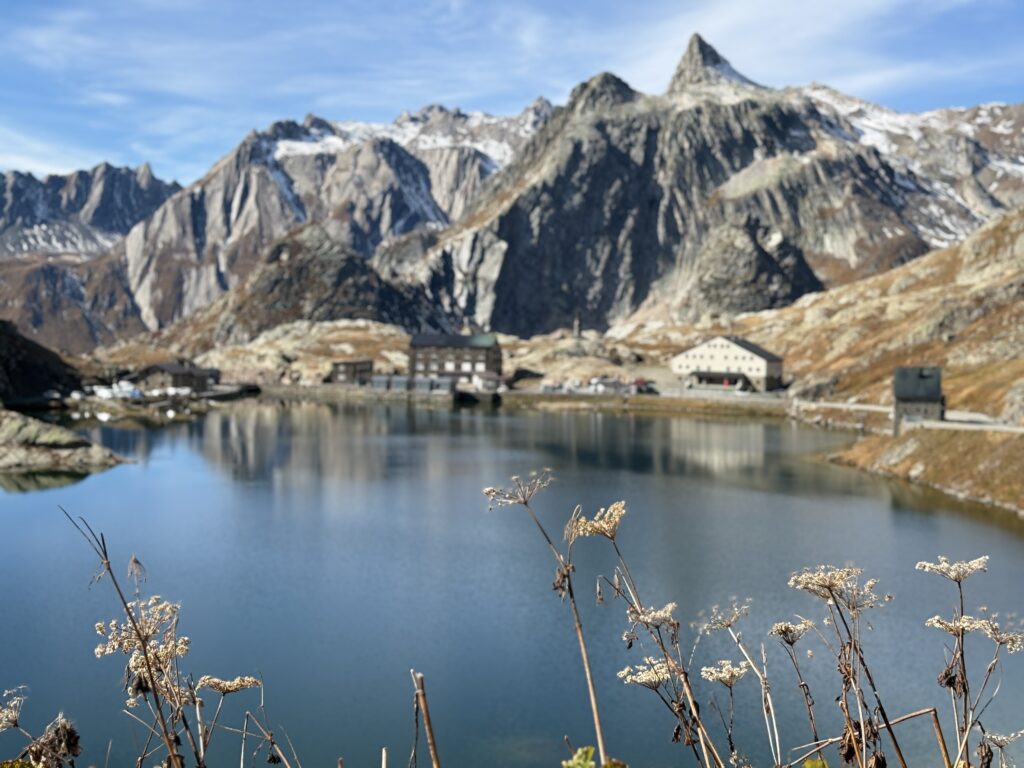 great st bernard pass, via francigena
