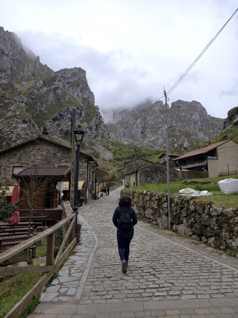 Picos de Europa national park