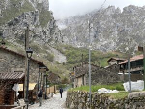 Picos de europa