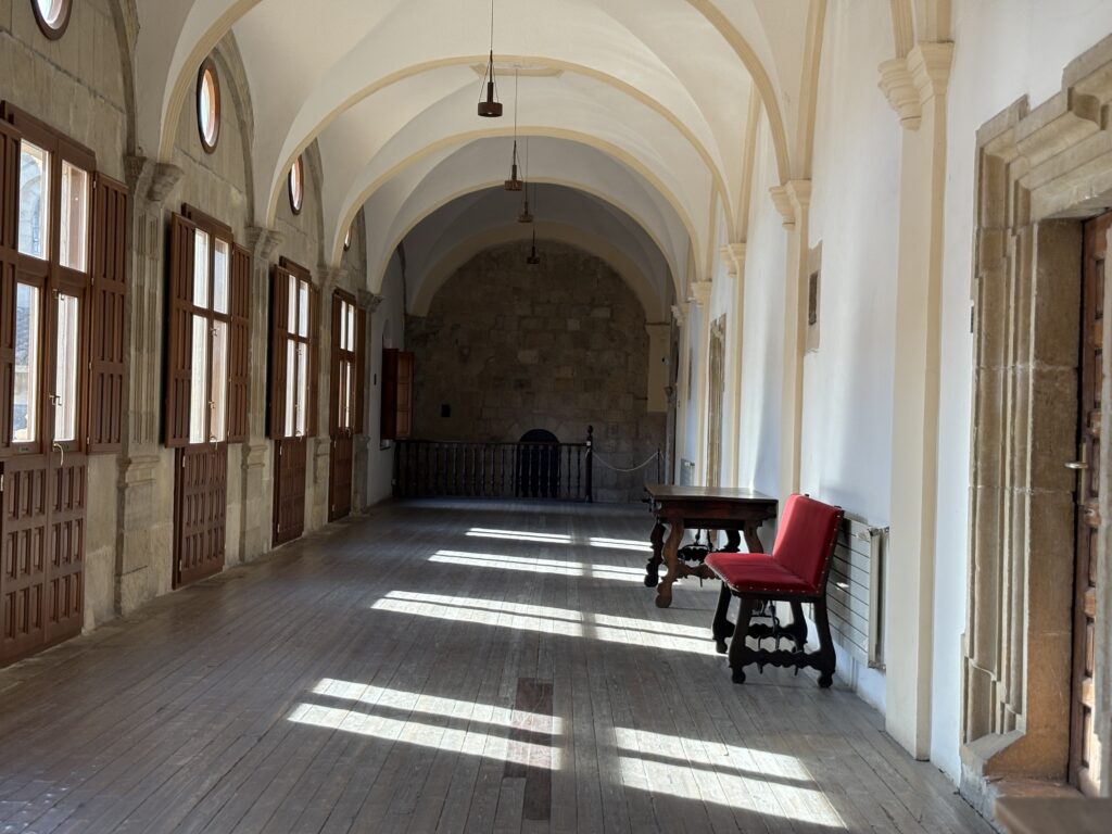 San isidro leon