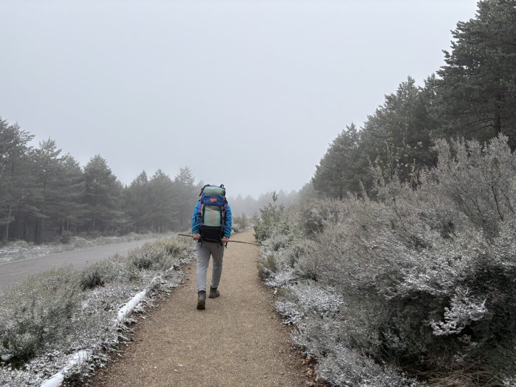 Camino de Santiago